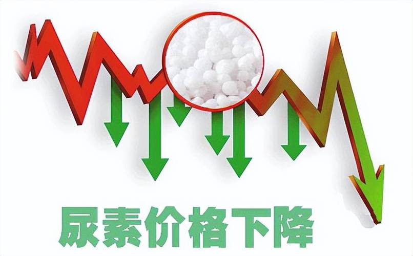 经历一年多低谷后维生素A价格大幅反弹，相关个股受关注(图4)