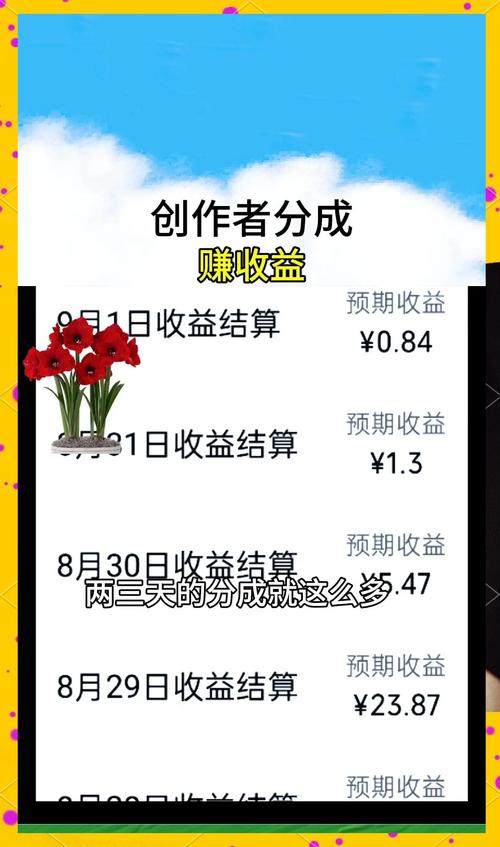 数字化时代视频号赚钱指南，新手必看实操经验分享(图3)