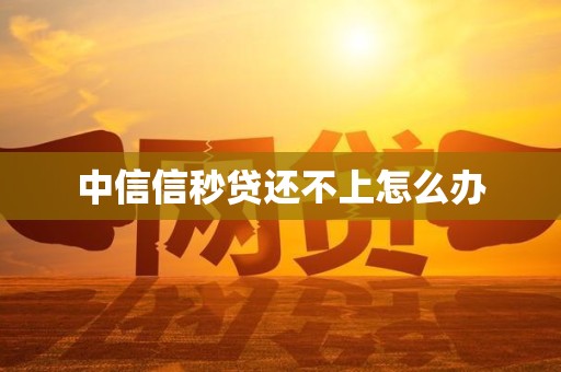 了解中信信秒贷基本信息，无法按时还款该咋办？(图6)