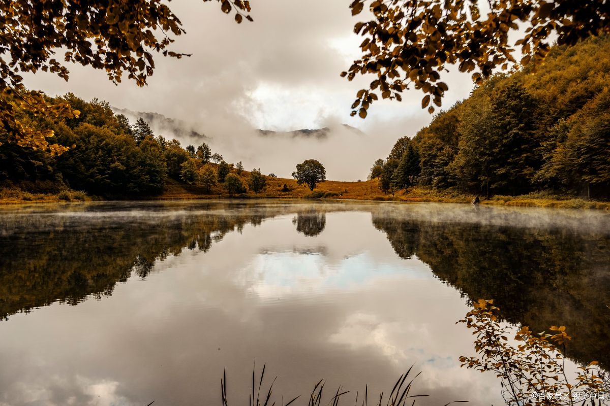 美林配资与E策略平台：各具特色的股票配资及交易服务平台(图3)