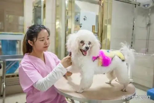 2024年最不起眼的五个行业，能让普通人翻身赚大钱？(图4)