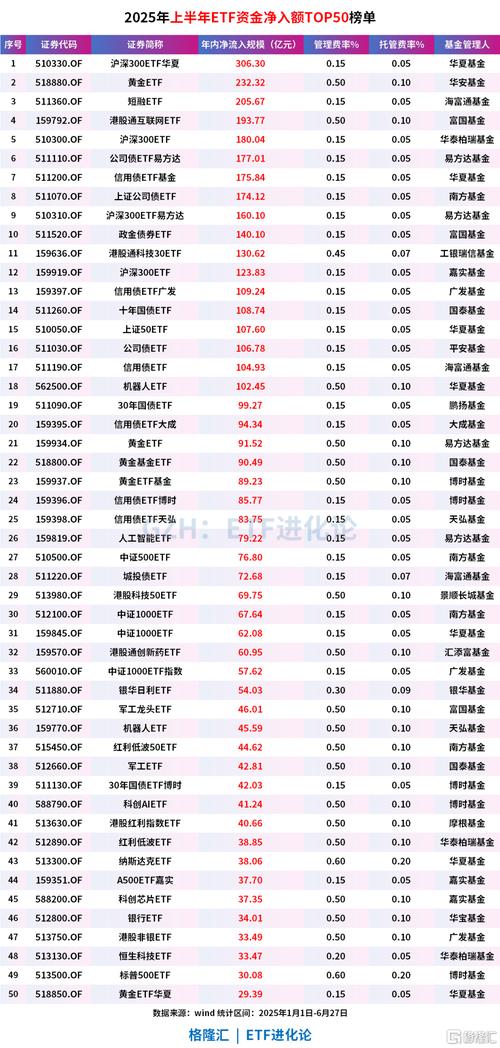 2025年上半年基金收益榜单揭晓！港股与医药主题成赢家？(图2)