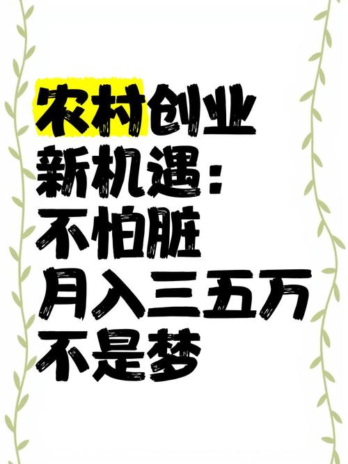 农村创业机遇多！这8类项目从小做起，致富路越走越好