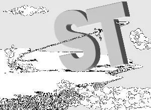 *ST吉恩和*ST昆机退市后，*ST烯碳命运几何？深交所听证