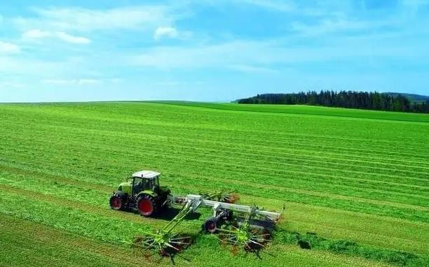 2025年农村创业好时机？这10个高收益致富项目快收藏