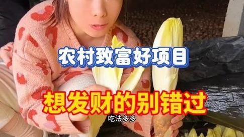 2025年农村创业好时机？这10个高收益致富项目快收藏(图2)