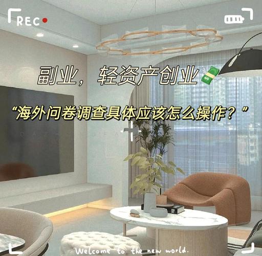 物价飞涨工资少？海外问卷调查成上班族宝藏副业(图5)