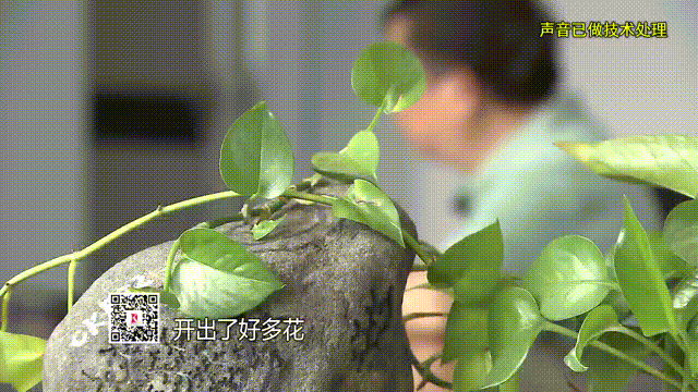 恭喜李老哥喜提翡翠原石？直播间财富神话竟是精心骗局(图3)