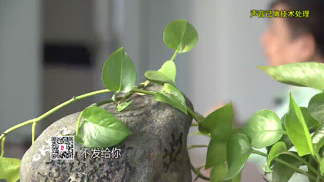 恭喜李老哥喜提翡翠原石？直播间财富神话竟是精心骗局(图6)