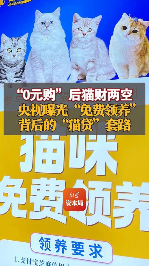 喵喵App宣称虚拟养猫能高额回报，投资者血本无归(图4)