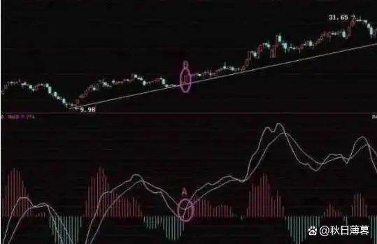 股票交易这场考试，学霸为何不一定得高分？实验结果惊人(图15)