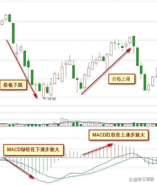 股票交易这场考试，学霸为何不一定得高分？实验结果惊人(图19)
