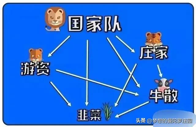 揭秘短线炒股19条黄金定律！股市风险大，这些要点要记牢(图13)