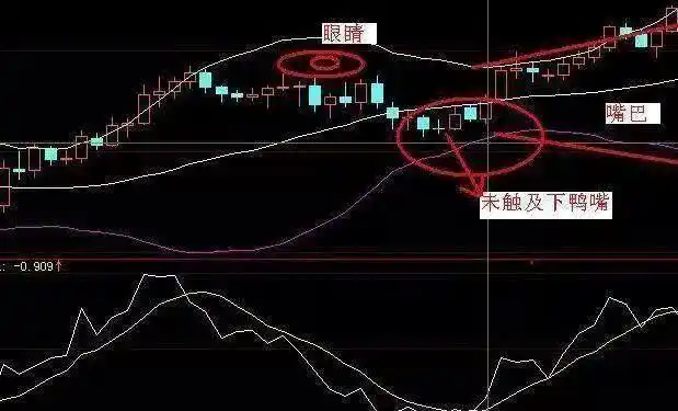 股市赚钱需独特思路，形成不易且要长期学习研究(图4)