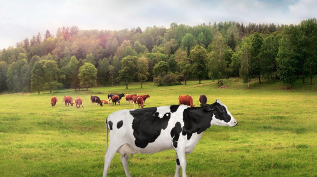 温州人熟悉的早餐店上市！一鸣食品 A 股敲钟，家族财富惊人？(图2)