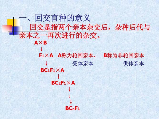 常用的杂交方式有哪些？成对杂交、复合杂交、回交介绍(图1)