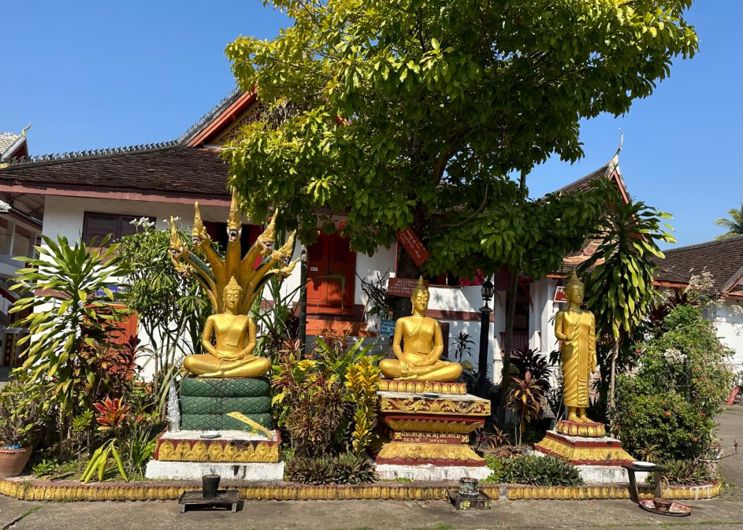 老挝旅游攻略：2023陆路过关指南，手把手教你从磨憨到磨丁(图10)