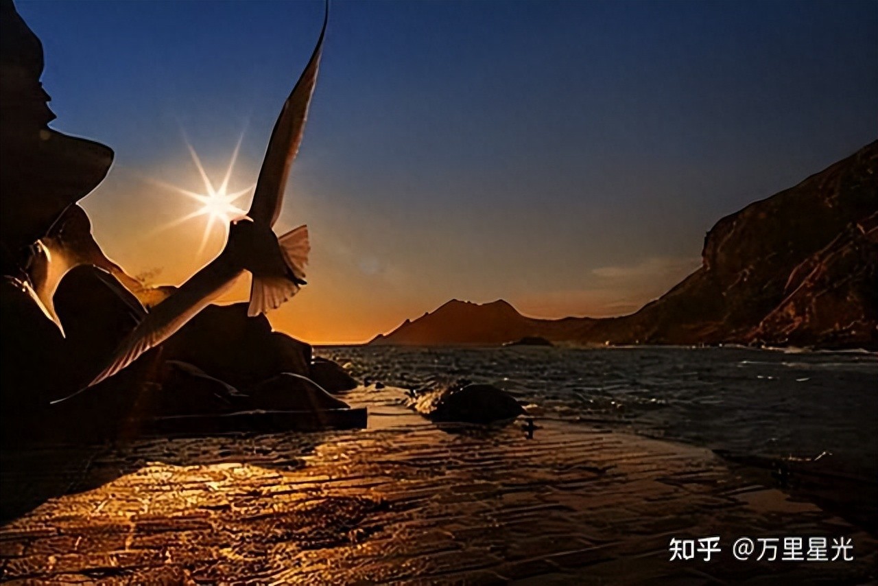 股票 现量 顶级交易员智慧：顺势而为，系统纪律与盘感修炼——