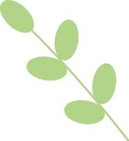 中证港股通非银行金融指数投资价值分析：业绩支撑+低估值，如何