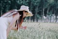 秦国安炒股培训班绝密资料：庄股、超跌股及主升浪捕捉技巧