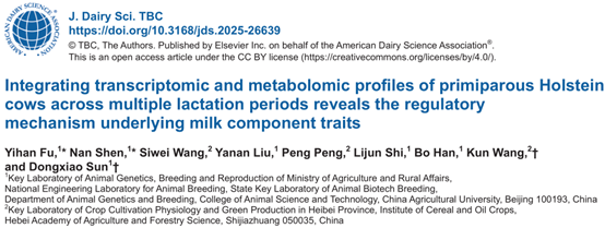 动物科学团队揭示奶牛泌乳性状机制，聚焦泌乳曲线关键期