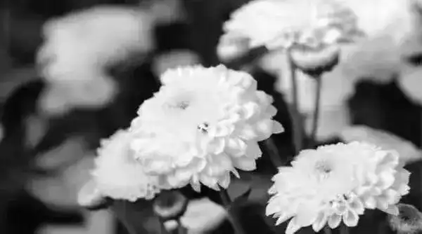 陪伴投资者成长的大V侯宁去世，曾被称为股市‘空军司令’