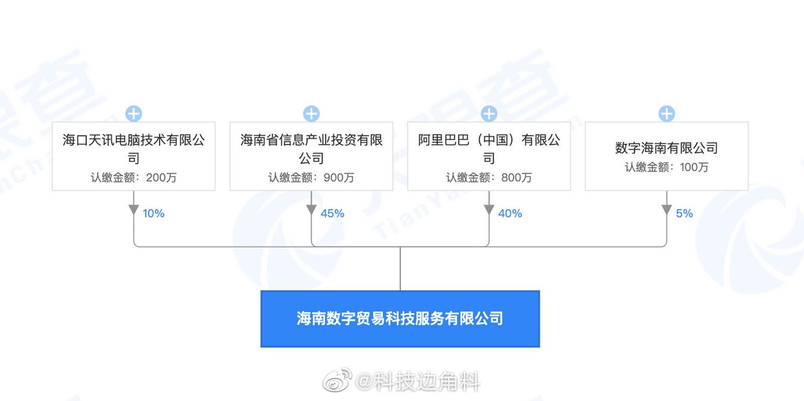 阿里巴巴发起设立数字海南有限公司为第一大股东(图2)