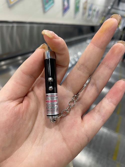 白手起家能做的赚钱生意:激光笔、充电器、按摩器及家庭小菜园(图2) 白手起家能做的赚钱生意:激光笔、充电器、按摩器及家庭小菜园(图2)