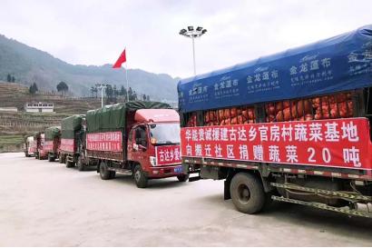 华能资本：抗击疫情不会松懈，发展仍将继续(图15)