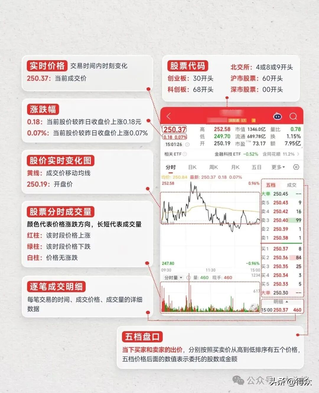 炒股入门七大知识科普!含涨跌原理、分时界面等内容可下载(图10) 炒股入门七大知识科普!含涨跌原理、分时界面等内容可下载(图10)
