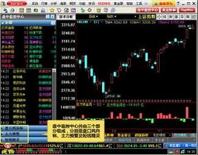 免费炒股软件排行榜前十,同花顺、大智慧等任你选(图9) 免费炒股软件排行榜前十,同花顺、大智慧等任你选(图9)