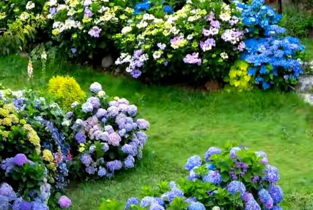 赚钱不难！大学生及普通人轻松搞钱的N种实用方法(图2)