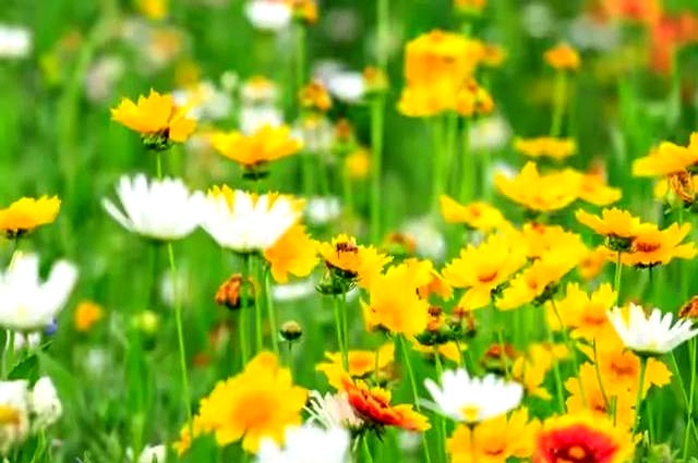 赚钱不难！大学生及普通人轻松搞钱的N种实用方法(图3)