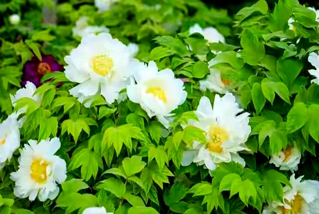 赚钱不难！大学生及普通人轻松搞钱的N种实用方法(图6)