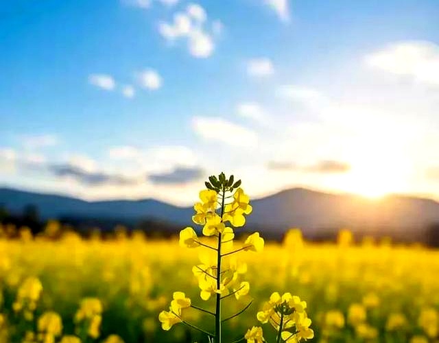 赚钱不难！大学生及普通人轻松搞钱的N种实用方法(图8)