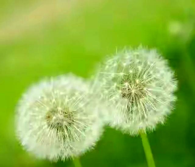 赚钱不难！大学生及普通人轻松搞钱的N种实用方法(图9)