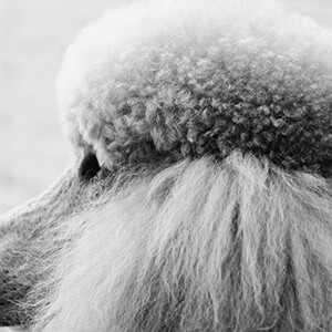 小赢卡贷是骗局吗?律师提醒:先查平台资质防套路贷(图29) 小赢卡贷是骗局吗?律师提醒:先查平台资质防套路贷(图29)