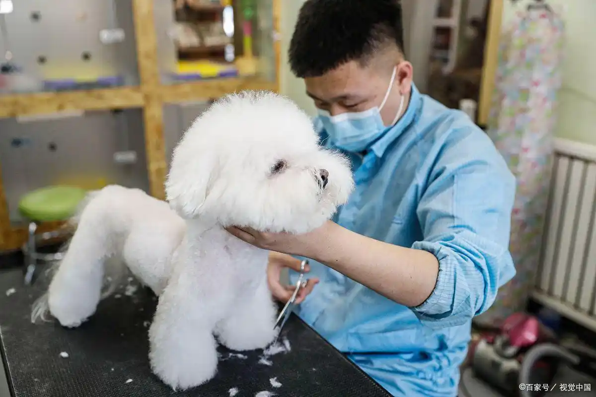 女人在家赚钱：10种低门槛居家副业轻松做(图4)