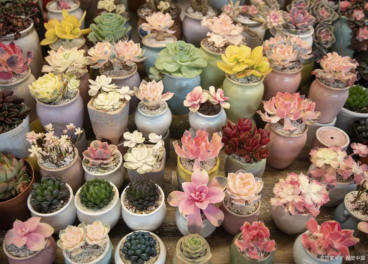 女人在家赚钱：10种低门槛居家副业轻松做(图6)