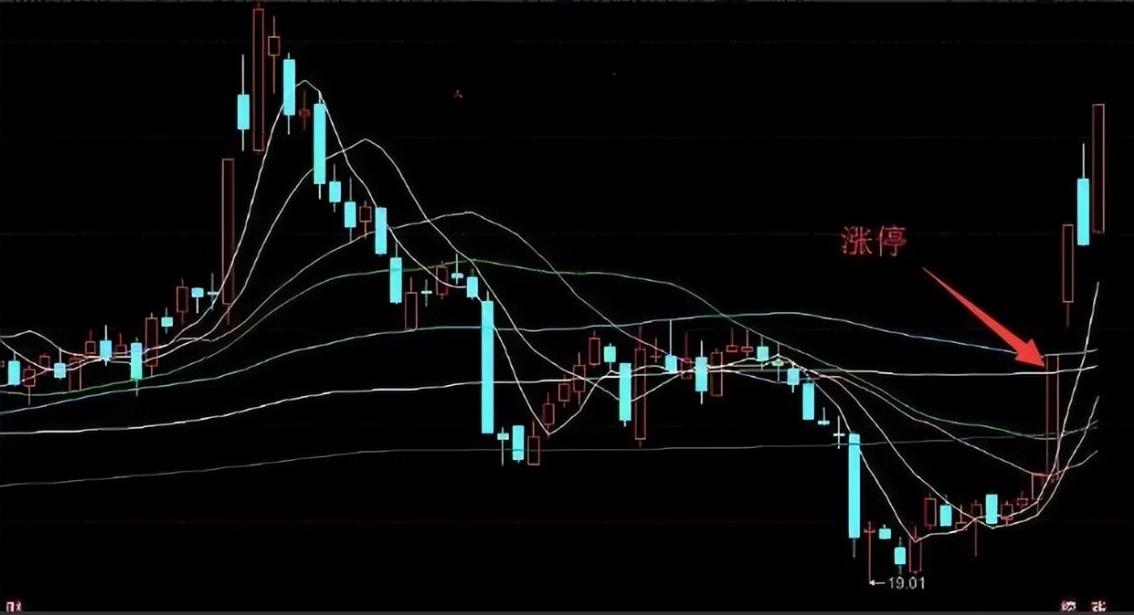 炒股10年赚470万，靠这份阴线低吸秘籍，炒股必读pdf下载(图6)