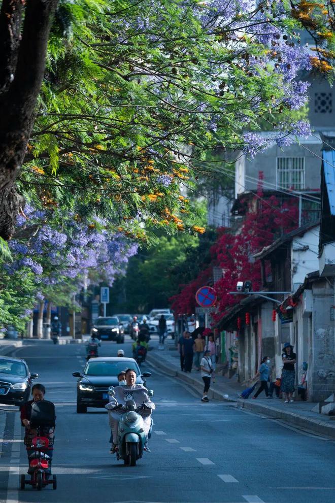 中国夏季最凉爽的10座城市，人少风景优美，宁静。你去过哪些地
