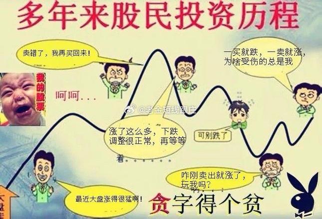 <strong>散户炒股进‘圈子’求建议，50元换来2000元亏损教训</strong>