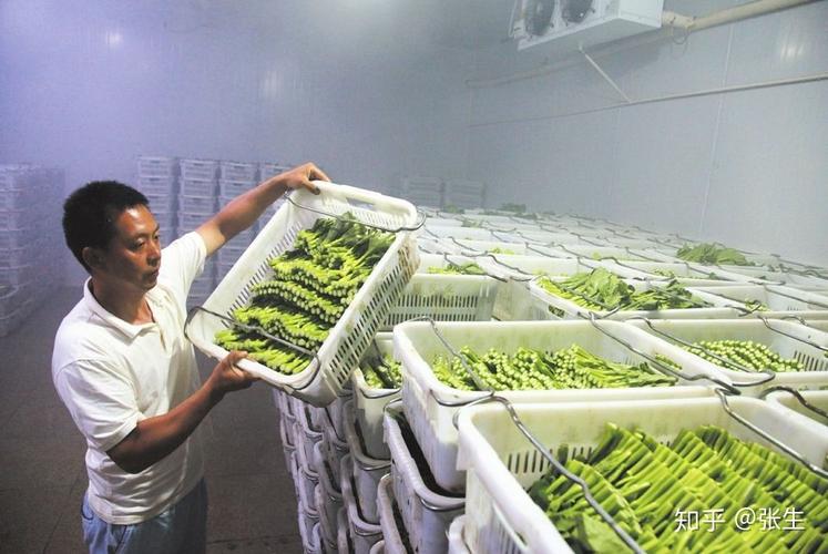 现在做什么生意赚钱投资少？10个小本生意闷声发财(图6)
